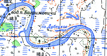 Петриковский район карта