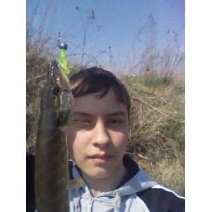 Сергей Слесаренко's picture