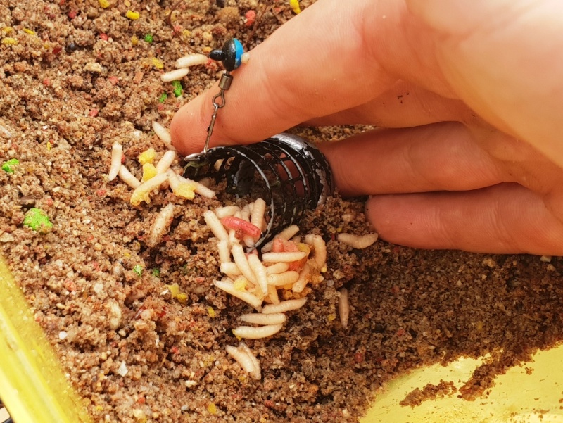 20180902_110431.jpg