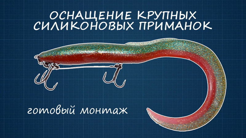 02_1.jpg