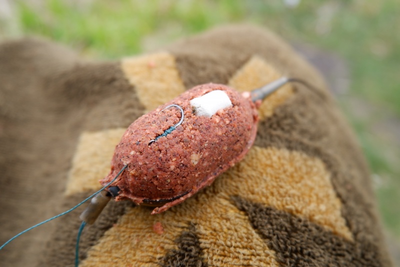 dscf3872.jpg