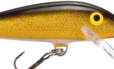 gold_rapala.jpg