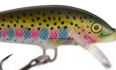 rainbow_traut.jpg
