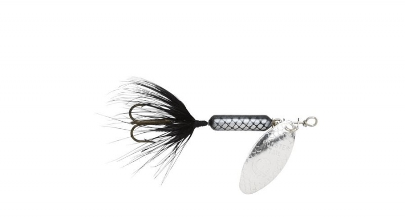 wordens_rooster_tail.jpg