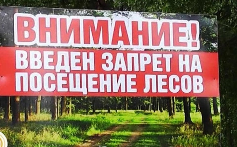 zapret_lesa.jpg